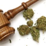 Marijuana Laws in Washington