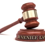 JUVENILE THEFT AND BURGLARY LAWS