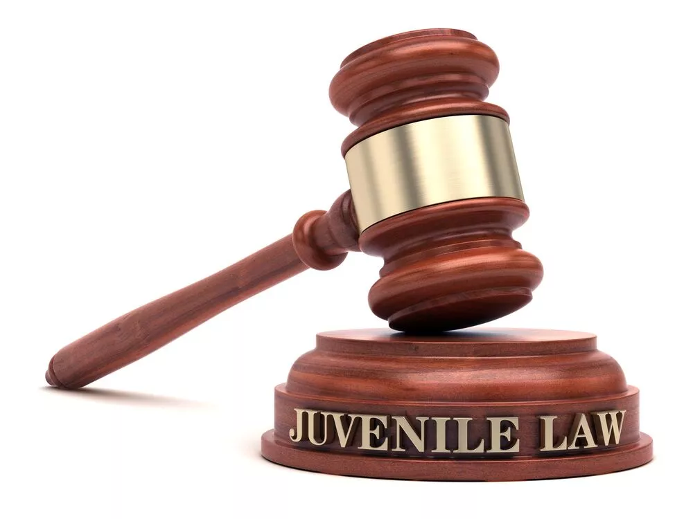 JUVENILE THEFT AND BURGLARY LAWS