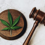 Criminal Diversion Of Medical Marihuana In The Second Degree