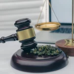 NEW JERSEY MARIJUANA LAWS